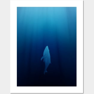 Whale in the Deep Ocean Posters and Art